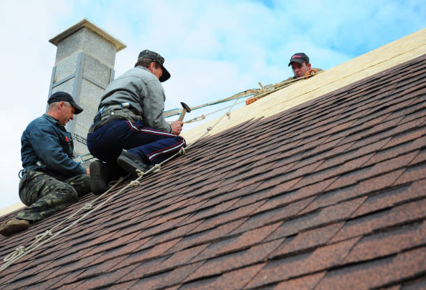 Quick and Trustworthy Emergency Roof Repair Services in Riva, MD