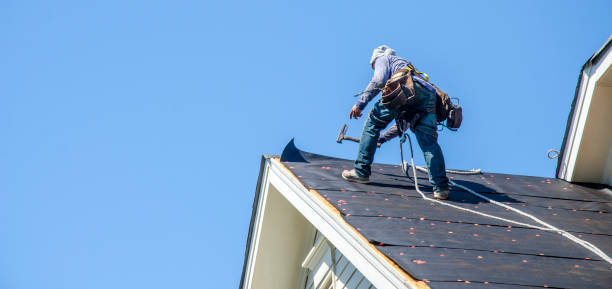 Best Roof Repair Services  in Riva, MD